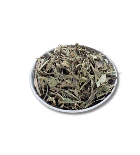 Hojas de Stevia